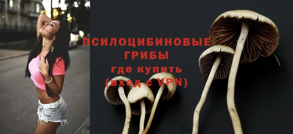 спиды Алзамай