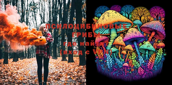амф Алексин