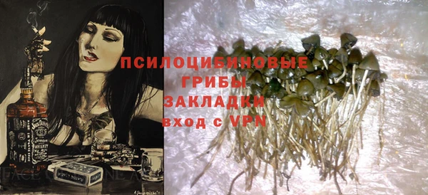амф Алексин
