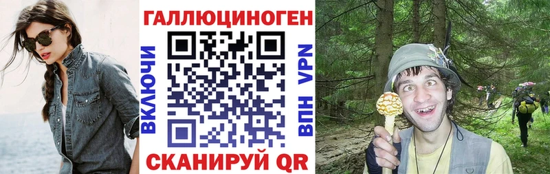 Галлюциногенные грибы GOLDEN TEACHER  Купить где  Новокузнецк 